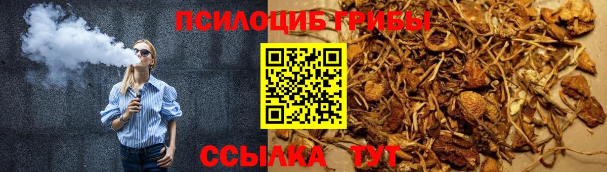 Псилоцибиновые грибы GOLDEN TEACHER  Вход с VPN  Пенза 